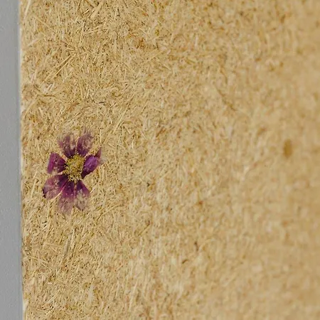 Birkenhof - Ferienhof, Landcafe Und Roesterei 公寓 施马伦贝格