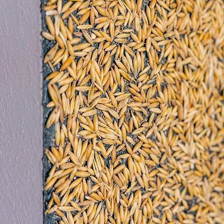 Apartment Birkenhof - Ferienhof, Landcafe Und Rösterei