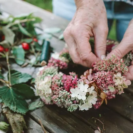 Birkenhof - Ferienhof, Landcafe Und Rösterei Apartment Schmallenberg