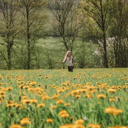 Birkenhof - Ferienhof, Landcafe Und Rösterei *