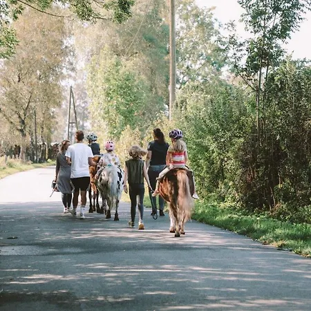 公寓 Birkenhof - Ferienhof, Landcafe Und Roesterei