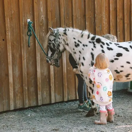 Birkenhof - Ferienhof, Landcafe Und Roesterei 公寓