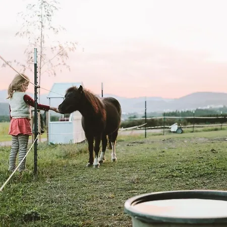 Birkenhof - Ferienhof, Landcafe Und Roesterei 公寓 *