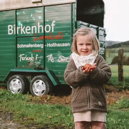 Birkenhof - Ferienhof, Landcafe Und Roesterei 公寓 *
