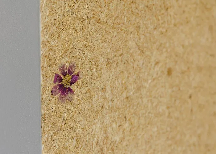 Birkenhof - Ferienhof, Landcafe Und Roesterei Apartment Schmallenberg