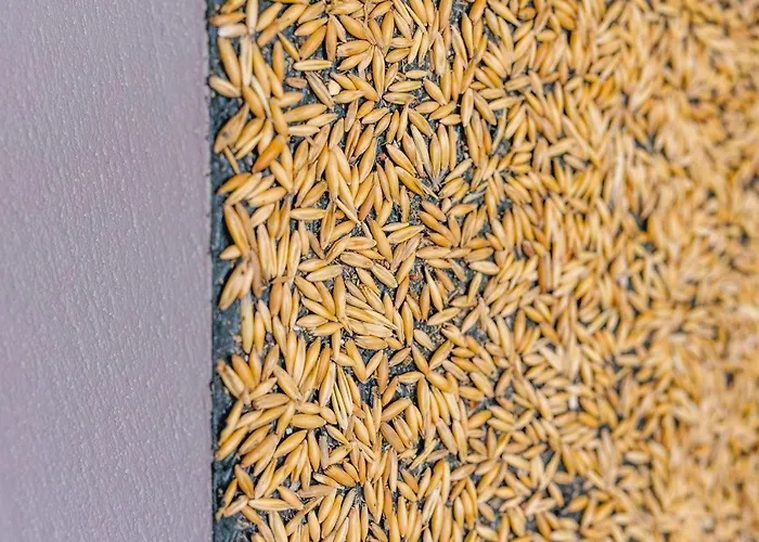 Apartment Birkenhof - Ferienhof, Landcafe Und Roesterei