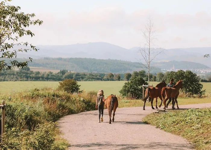 Birkenhof - Ferienhof, Landcafe Und Roesterei Apartment