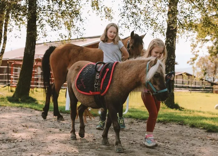 Birkenhof - Ferienhof, Landcafe Und Roesterei Apartment Schmallenberg